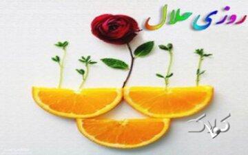 شبهه دستور دین به بانوان برای کسب روزی حلال