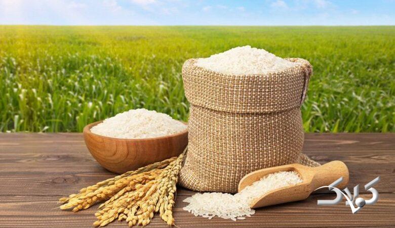 قیمت برنج ایرانی شوکه کننده شد! + قیمت جدید