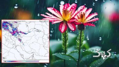 منتظر بارشهای فراوان و کم سابقه باشید/ ترسالی شدید و بزرگی در راه ایران است
