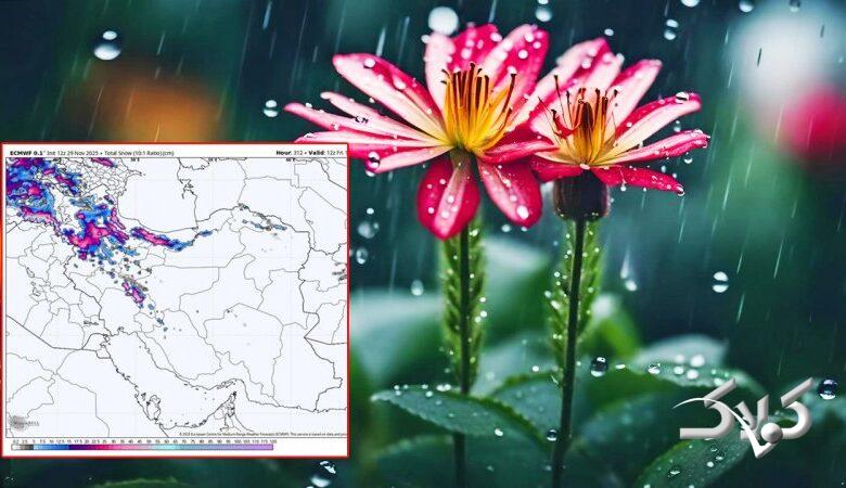 منتظر بارشهای فراوان و کم سابقه باشید/ ترسالی شدید و بزرگی در راه ایران است