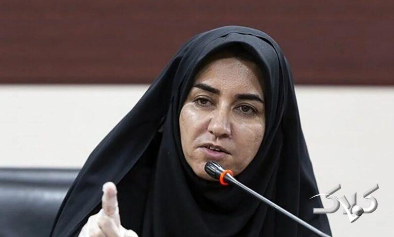 سارا فلاحی، نماینده مجلس