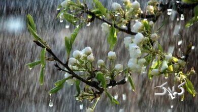 پیش بینی رگبار و رعدوبرق در نوار شمالی کشور