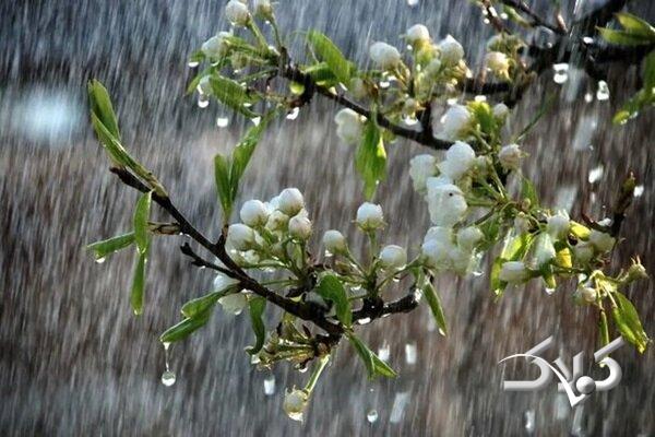 پیش بینی رگبار و رعدوبرق در نوار شمالی کشور