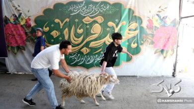 بازار دام زنده ی عید قربان