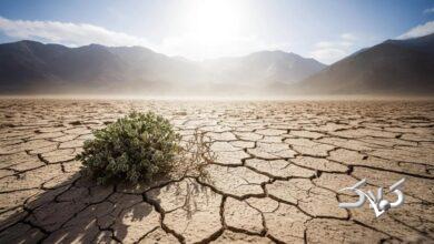 راهکار نهایی برای خشکسالی؛