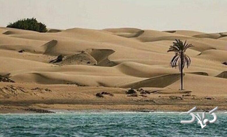 هواشناسی