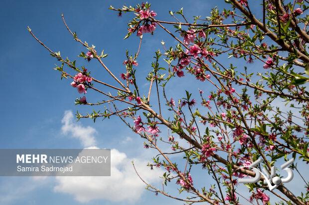 هوای تهران در وضعیت قابل قبول