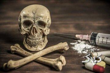شناسایی مخدرهای جدید با نامهای «غبار میمون» و «کروکودیل»