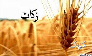 ایجاد تعادل اجتماعی یکی از اهداف وجوب زکات است