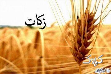ایجاد تعادل اجتماعی یکی از اهداف وجوب زکات است