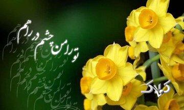 آیا امام زمان (عج) روز جمعه ظهور خواهند کرد؟