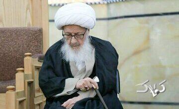 راز دوازده «لا اله الا انت» در دعای عرفه از زبان آیتالله العظمی وحید خراسانی