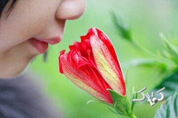 چرا بوها خاطرات قدیمی را زنده میکنند؟/ راز عجیب حافظه بویایی انسان