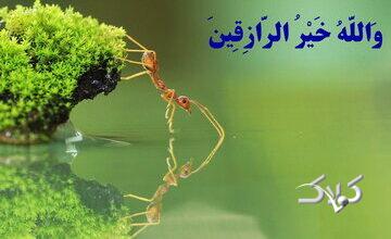 آیات محرمانه قرآن برای گشایش رزق و روزی