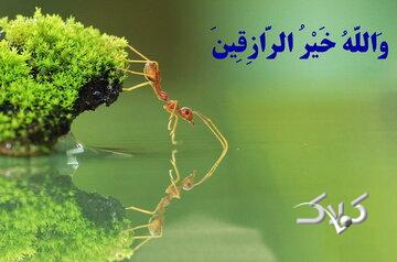 آیات محرمانه قرآن برای گشایش رزق و روزی