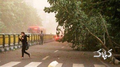 هواشناسی استان تهران اطلاعیه داد
