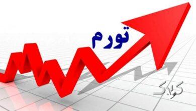 نرخ تورم سالانه خرداد ماه اعلام شد