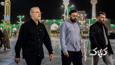 ویدیو| نصب سنگ مزار شهیدان علی و مرتضی لاریجانی