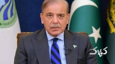 شهباز شریف، نخست وزیر پاکستان