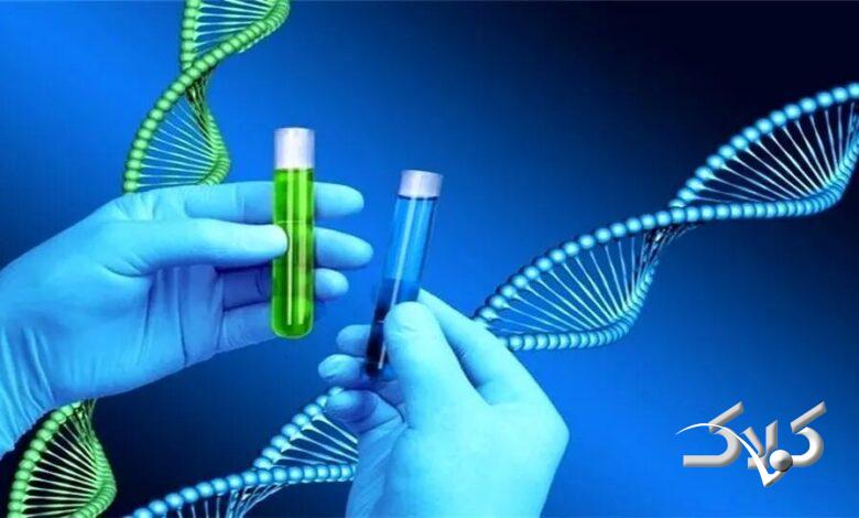 مصرف بالای ترشیجات خطر ابتلا به این سرطان را افزایش میدهد