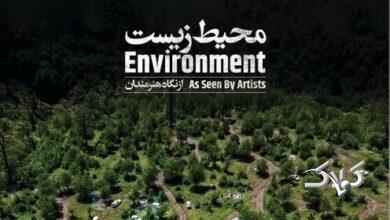 رونمایی از کتاب «محیط زیست از نگاه هنرمندان» در شب بخارا