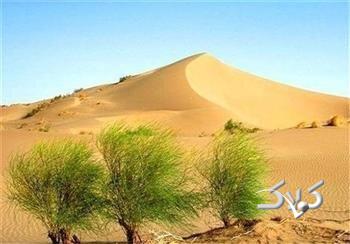 کارنامه ضعیف ۶ دهه مقابله با بیابانزایی در کرمان