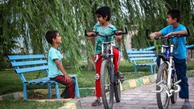 تابستان خود را چگونه میخواهید بگذرانید؟