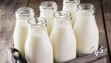 شیر - لبنیات - میلک - Milk