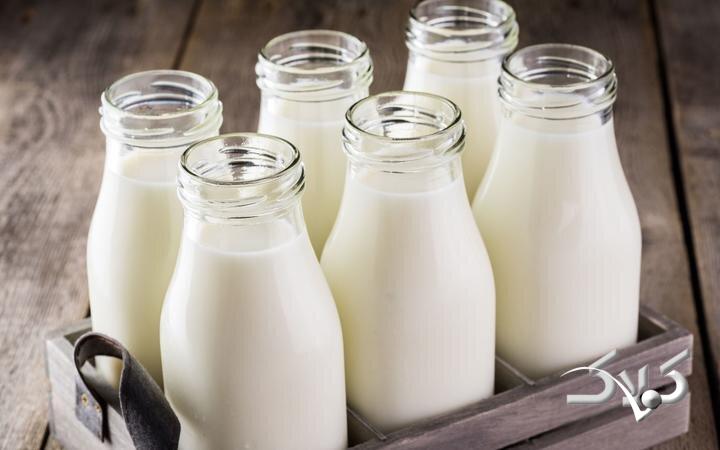شیر - لبنیات - میلک - Milk