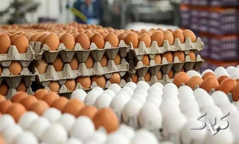 تخم مرغ