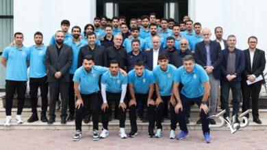 تیم ملی