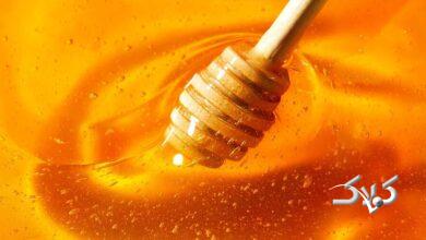 honey