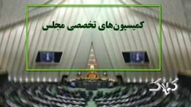 کمیسیون های تخصصی