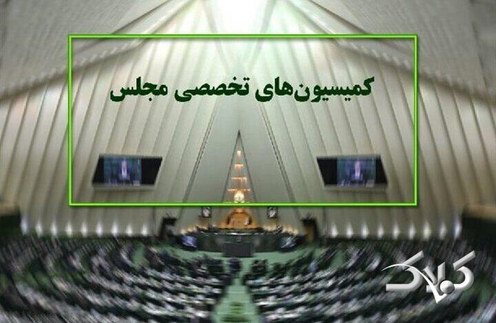 کمیسیون های تخصصی