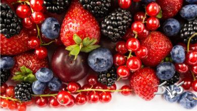 fruits