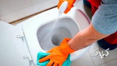 سرویس بهداشتی