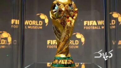 استاف 2026