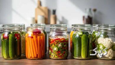 غذاهای تخمیری