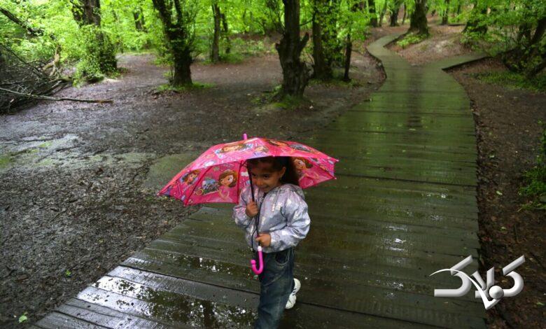 باران
