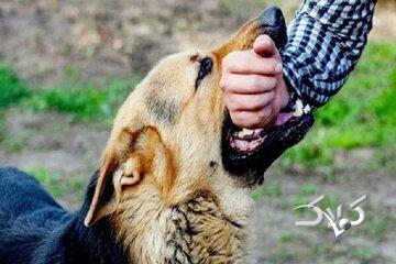 هشدار درباره گردش یک ویروس کشنده در کشور