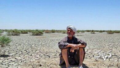تالاب هامون؛ خشکیده در دل کویر سیستان