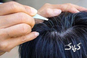 ۷ ترفند برای خداحافظی با موهای سفید