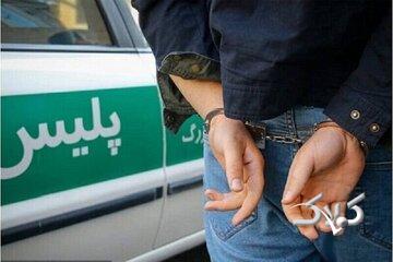 دستگیری عامل اخاذی با جعل عنوان مأمور پلیس در شمیرانات