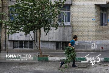 هواشناسی استان تهران اطلاعیه داد