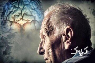 هشدار! مصرف این خوراکی مشکلات حافظه را بیشتر میکند