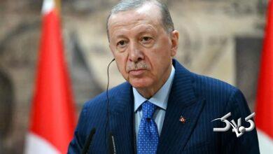 رجب طیب اردوغان، رئیسجمهور ترکیه