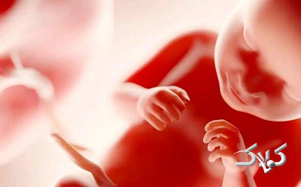 جنین در چند ماهگی آگاهی پیدا میکند؟