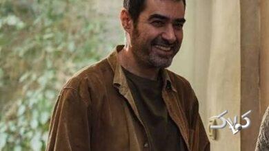 شهاب حسینی