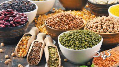 پروتئین گیاهی