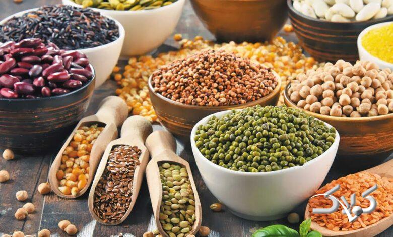 پروتئین گیاهی